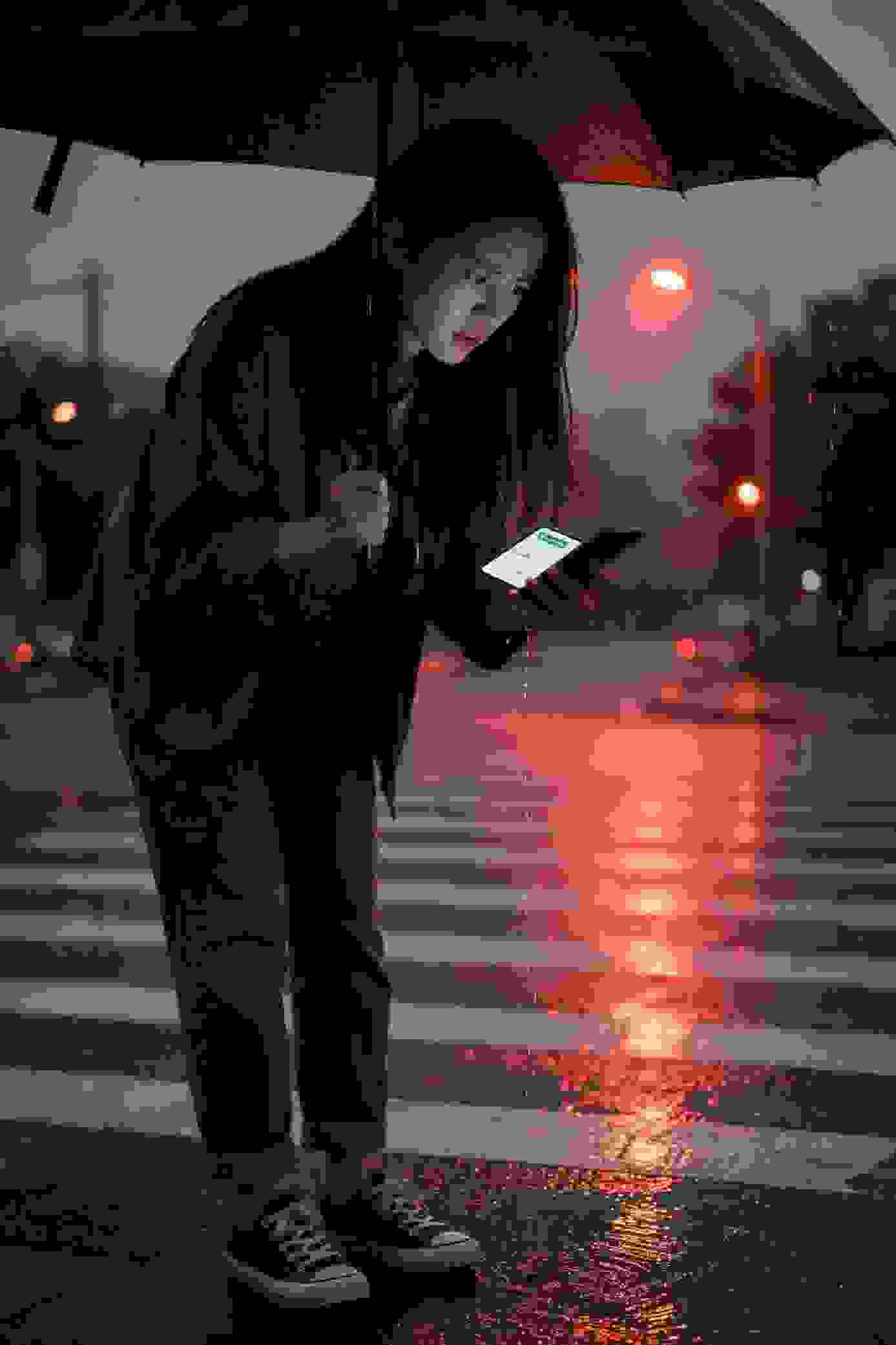 雨林奇观
